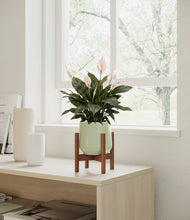 Load image into Gallery viewer, Turquoise stand:walnut