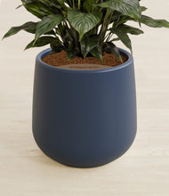 Load image into Gallery viewer, Deep Navy stand:all