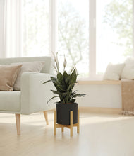 Load image into Gallery viewer, Black stand:bamboo
