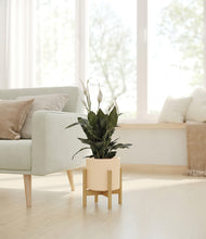 Load image into Gallery viewer, Cream stand:bamboo