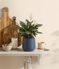 Load image into Gallery viewer, Deep Navy