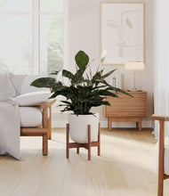 Load image into Gallery viewer, Natural Bamboo stand:walnut