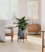 Load image into Gallery viewer, Sage Green stand:dark