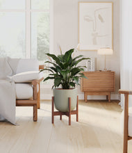 Load image into Gallery viewer, Sage Green stand:dark