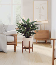Load image into Gallery viewer, Sandy Pink stand:walnut