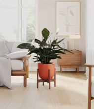 Load image into Gallery viewer, Earth Red stand:walnut