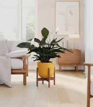 Load image into Gallery viewer, Sunset Orange stand:walnut