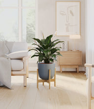 Load image into Gallery viewer, Sage Green stand:light