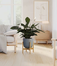 Load image into Gallery viewer, Iron Gray stand:bamboo