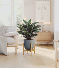 Load image into Gallery viewer, Sage Green stand:bamboo