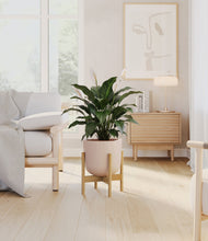 Load image into Gallery viewer, Sandy Pink stand:light