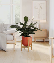 Load image into Gallery viewer, Earth Red stand:bamboo