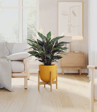 Load image into Gallery viewer, Sunset Orange stand:bamboo