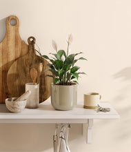 Load image into Gallery viewer, Sage Green
