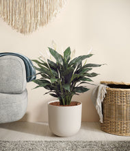Load image into Gallery viewer, Natural Bamboo stand:all