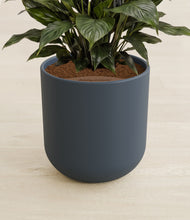 Load image into Gallery viewer, Iron Gray stand:all