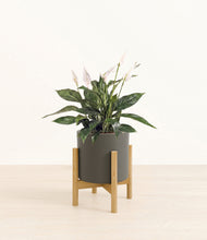 Load image into Gallery viewer, Dark Olive stand:bamboo
