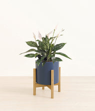 Load image into Gallery viewer, Deep Navy stand:bamboo