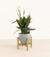 Load image into Gallery viewer, Deep Ocean stand:bamboo