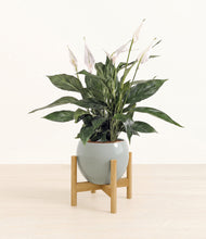 Load image into Gallery viewer, Deep Ocean stand:bamboo