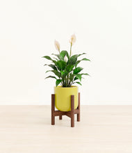 Load image into Gallery viewer, Key Lime Yellow stand:dark