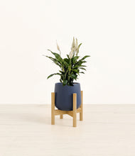 Load image into Gallery viewer, Deep Navy stand:bamboo