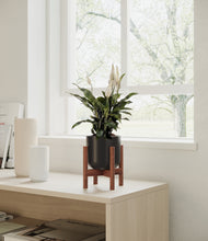 Load image into Gallery viewer, Stone Black stand:walnut