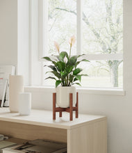 Load image into Gallery viewer, Cotton White stand:dark