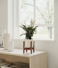 Load image into Gallery viewer, Cotton White stand:all