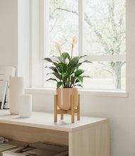 Load image into Gallery viewer, Glossy Pink stand:light
