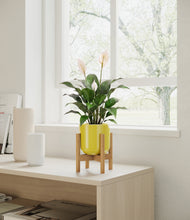 Load image into Gallery viewer, Key Lime Yellow stand:light