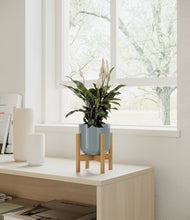 Load image into Gallery viewer, Misty Blue stand:all
