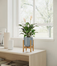 Load image into Gallery viewer, Misty Blue stand:light