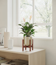Load image into Gallery viewer, Sage Green stand:dark
