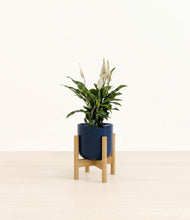 Load image into Gallery viewer, Twilight Blue stand:bamboo