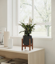 Load image into Gallery viewer, Black stand:walnut