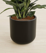Load image into Gallery viewer, Stone Black stand:all