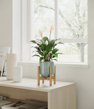 Load image into Gallery viewer, Reactive Aqua stand:light