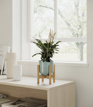 Load image into Gallery viewer, Reactive Aqua stand:bamboo
