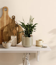 Load image into Gallery viewer, Sage Green