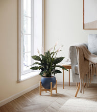 Load image into Gallery viewer, Deep Navy stand:bamboo