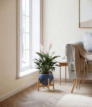 Load image into Gallery viewer, Deep Navy stand:light