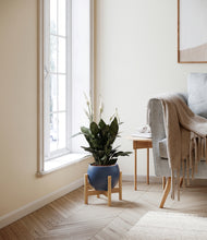 Load image into Gallery viewer, Deep Navy stand:bamboo