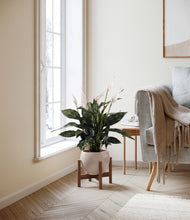 Load image into Gallery viewer, Desert Brown stand:walnut