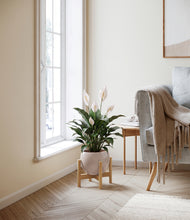 Load image into Gallery viewer, Desert Brown stand:light