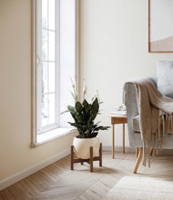 Load image into Gallery viewer, Shiny EggWhite stand:walnut