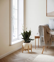 Load image into Gallery viewer, Shiny EggWhite stand:bamboo