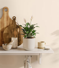 Load image into Gallery viewer, Natural Bamboo