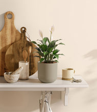 Load image into Gallery viewer, Sage Green