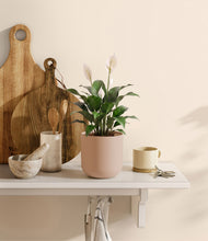 Load image into Gallery viewer, Sandy Pink